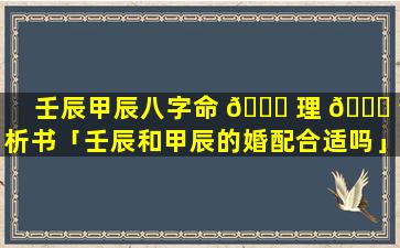 壬辰甲辰八字命 🐒 理 🐋 分析书「壬辰和甲辰的婚配合适吗」